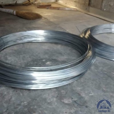 Проволока 0,3-Н80ХЮД-ВИ ГОСТ 8803-89 купить в Таразе