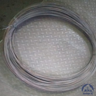 Проволока нержавеющая сварочная 0,8 мм AISI 308 LSI купить в Таразе